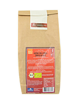 Organic Chia Seeds 500 grams - HANOJU
