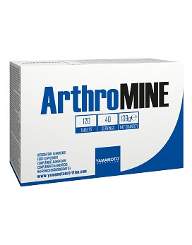 ArthroMINE 120 Tabletten - YAMAMOTO NUTRITION