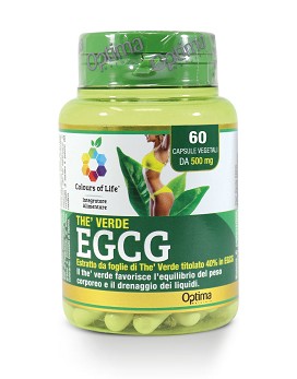 Thè Verde EGCG 60 capsules végétariennes - OPTIMA