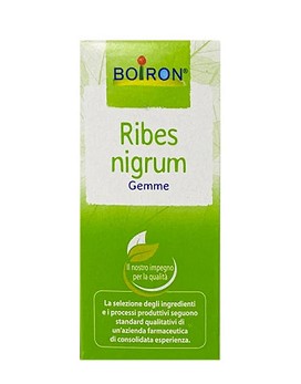 Macerato Glicerico - Ribes Nigrum 60ml - BOIRON