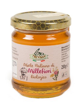 Miele Italiano di Millefiori Biologico 250 gramos - TREVISAN