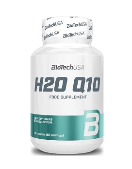 H2O Q10 60 Kapseln - BIOTECH USA