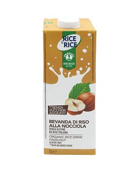 Rice & Rice - Rice Drink Hazelnut 1000ml - PROBIOS