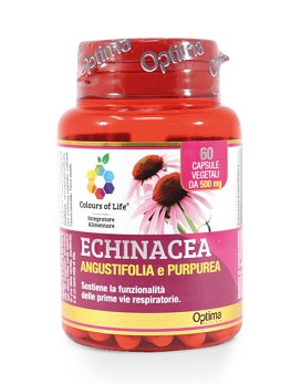 Echinacea - Angustifolia y Purpurea 60 cápsulas vegetales - OPTIMA