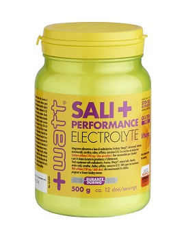 Sali+ Performance Electrolyte 500 gramm - +WATT