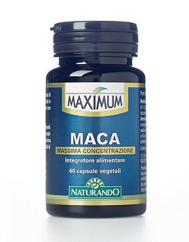 Maximum - Maca 40 vegetarian capsules - NATURANDO