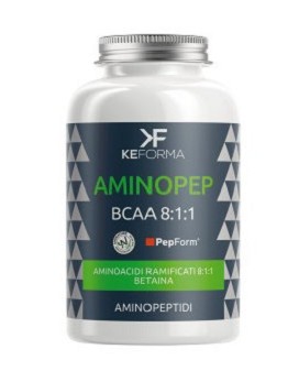 Aminopep - BCAA 8:1:1 150 tablets - KEFORMA