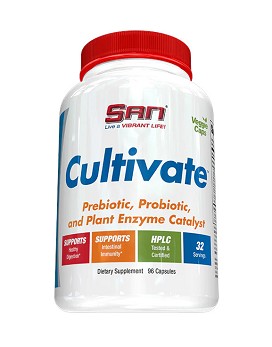 Performance Glutamine 300 grammes - SAN NUTRITION