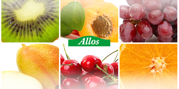 Allos - Barretta Pure Fruit 100% - Cranberry - IAFSTORE.COM