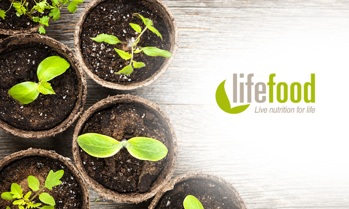 Life Food - Organic Raw Agave Nectar - IAFSTORE.COM