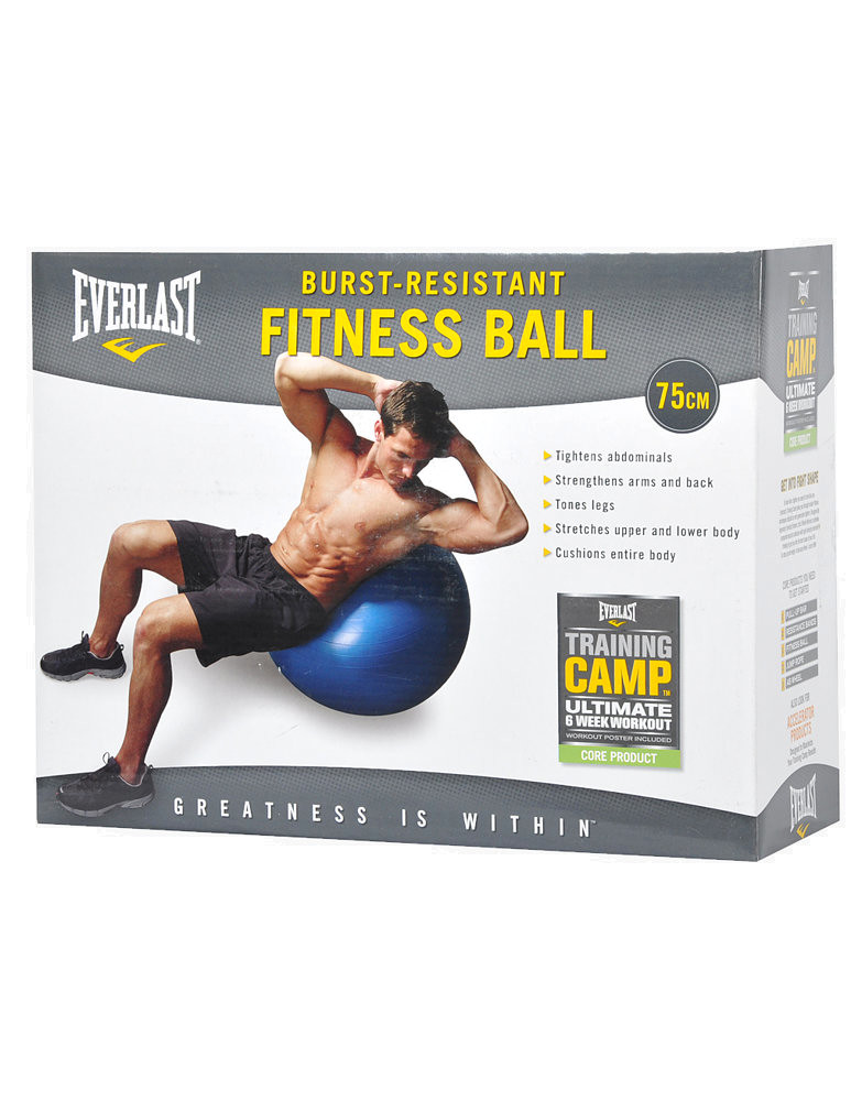 everlast stability ball