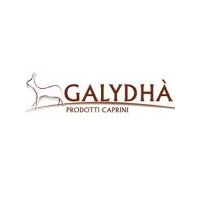 GALYDHÀ logo