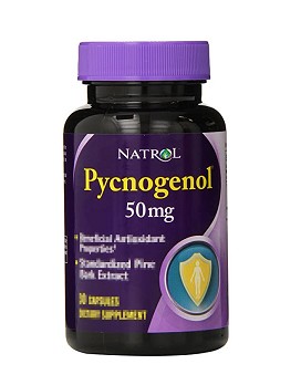 Pycnogenol 60 capsule - NATROL