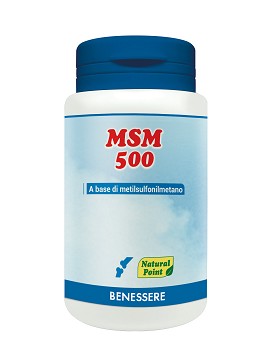 MSM 500 100 tablets - NATURAL POINT