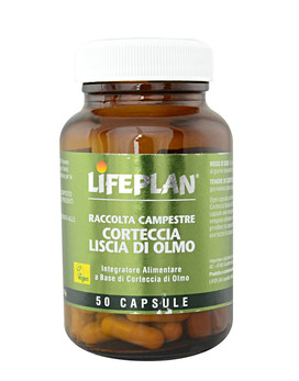 Corteccia Liscia di Olmo 50 capsule - LIFEPLAN