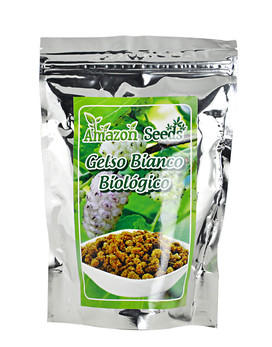 Organic White Mulberry 250 grams - AMAZON SEEDS