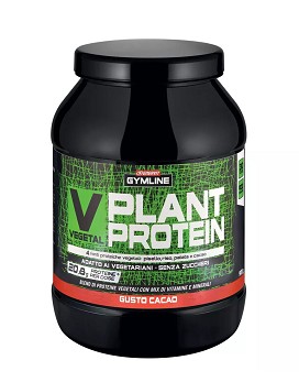 Gymline Muscle - Vegetal Plant Protein 900 grammi - ENERVIT