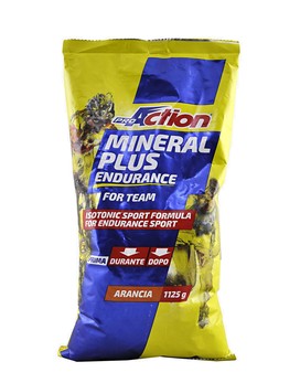 Mineral Plus Endurance For Team 1125 grammi - PROACTION