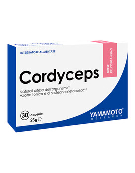 Cordyceps 30 capsule - YAMAMOTO RESEARCH