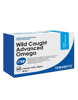 Wild Caught Advanced Omega IFOS™ 60 capsules - YAMAMOTO RESEARCH