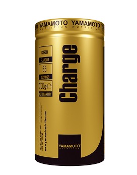 Charge Palatinose™ 700 gramm - YAMAMOTO NUTRITION