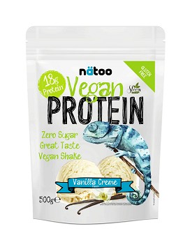 Vegan Protein 500 grams - NATOO