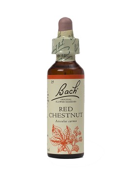 Bach Red Chestnut 20 ml - SCHWABE
