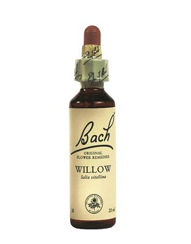 Bach Willow 20 ml - SCHWABE