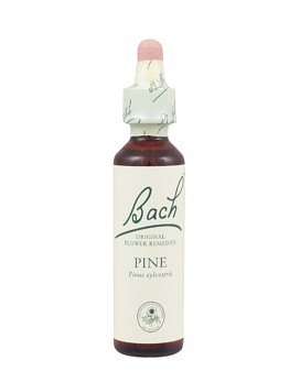 Bach Pine 20 ml - SCHWABE