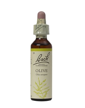 Bach Olive 20 ml - SCHWABE
