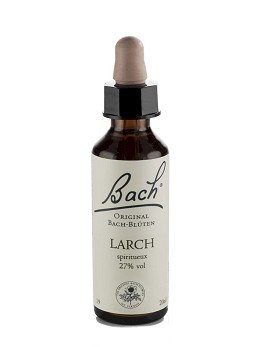 Bach Larch 20 ml - SCHWABE