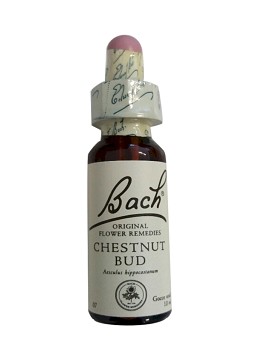 Bach Chestnut Bud 20 ml - SCHWABE