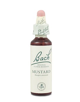Bach Mustard 20 ml - SCHWABE