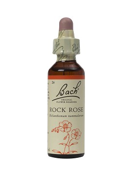 Bach Rock Rose 20 ml - SCHWABE