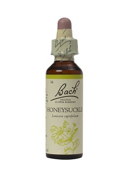 Bach Honeysuckle 20 ml - SCHWABE