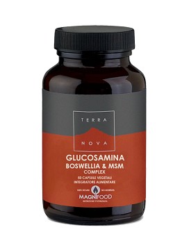 Glucosamina Boswella & MSM - TERRANOVA