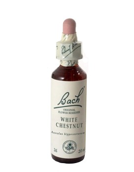 Bach White Chestnut 20 ml - SCHWABE