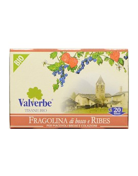 Fragolina di Bosco e Ribes 20 filter of 1,5 grams - VALVERBE