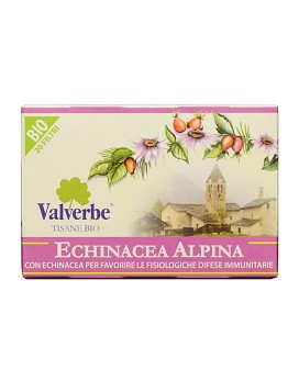 Echinacea Alpina 20 filtri da 1,5 grammi - VALVERBE