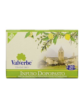 Infuso Dopopasto 20 filter of 1 grams - VALVERBE
