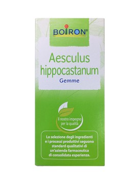 Macerato Glicerinato - Aesculus Hippocastanum 60ml - BOIRON