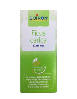 Macerato Glicerinato - Ficus Carica 60ml - BOIRON