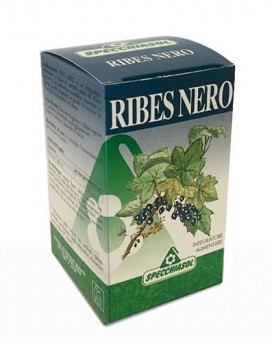 Ribes Nero 75 capsules - SPECCHIASOL