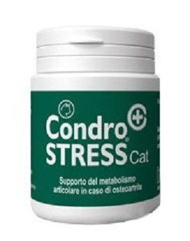 Innovet Condrostress® (+) Cat 30 capsule - INNOVET