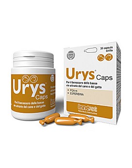 Urys Caps 30 capsule - INNOVET