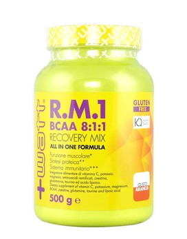 RM1 New Formula (BCAA 8:1:1) 500 grams - +WATT