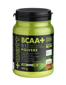BCAA+ 8:1:1 Polvere 300 grammi - +WATT
