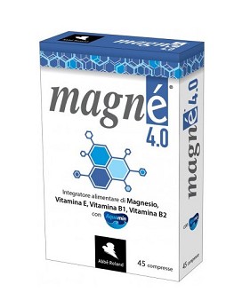 Magné 45 tablets - ABBÉ ROLAND