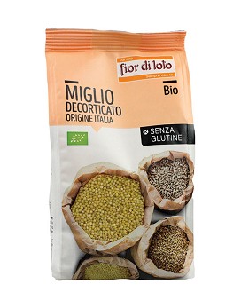 Organic Hulled Millet 400 grams - FIOR DI LOTO