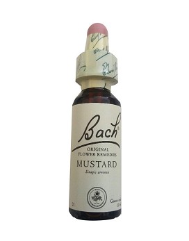 Bach Mustard 20 ml - SCHWABE